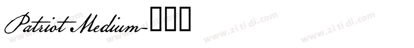 Patriot Medium字体转换
